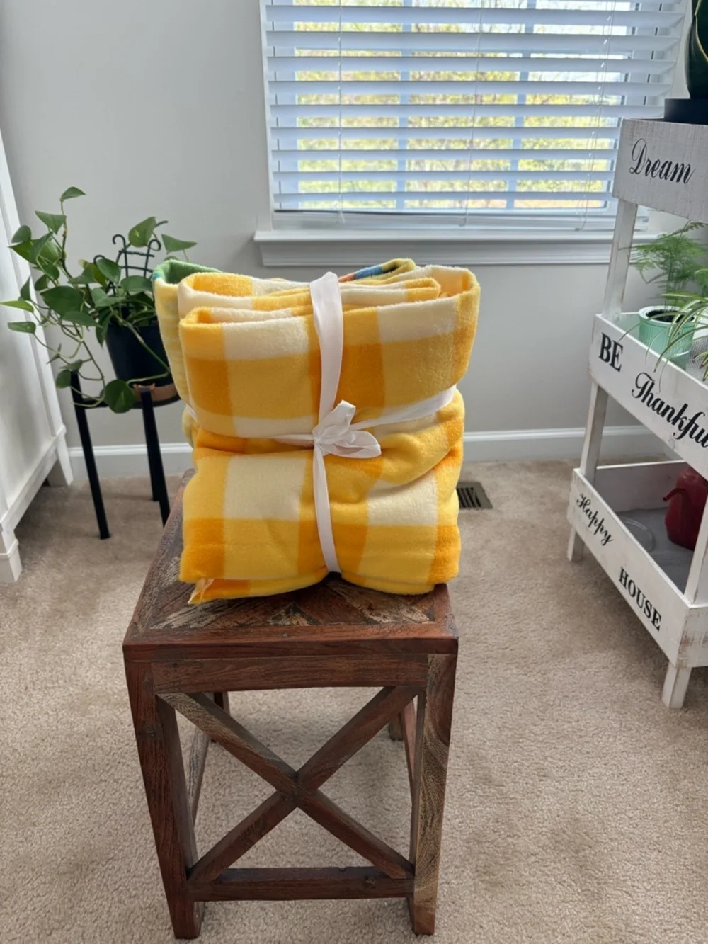 Jas, LLC Anti-Pill Fleece Dinosaur & Yellow Check No Sew Throw Kit